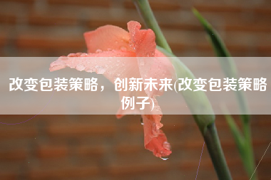 admin