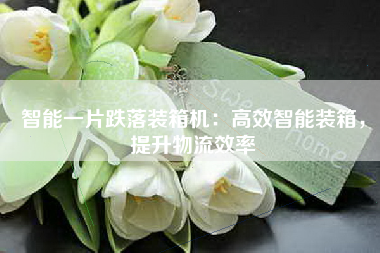 智能一片跌落装箱机：高效智能装箱，提升物流效率