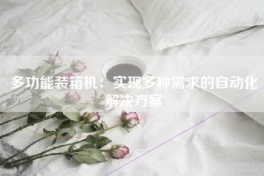多功能装箱机：实现多种需求的自动化解决方案