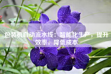 包装机自动流水线：智能化生产，提升效率，降低成本