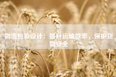 物流包装设计：提升运输效率，保护货物安全