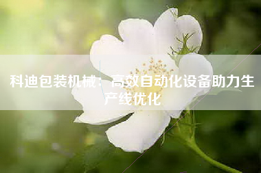 科迪包装机械：高效自动化设备助力生产线优化