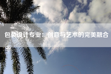 包装设计专业：创意与艺术的完美融合