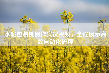 水泥包装机操作实况视频，全程展示高效自动化流程