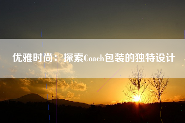 优雅时尚：探索Coach包装的独特设计