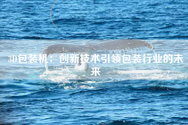 3D包装机：创新技术引领包装行业的未来