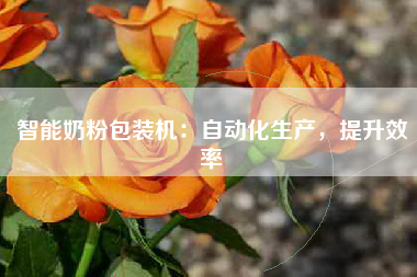 智能奶粉包装机：自动化生产，提升效率