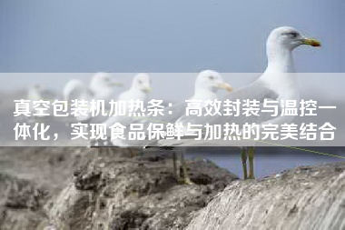 真空包装机加热条：高效封装与温控一体化，实现食品保鲜与加热的完美结合