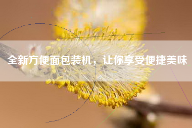 全新方便面包装机，让你享受便捷美味