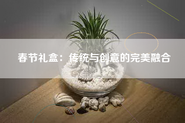春节礼盒：传统与创意的完美融合