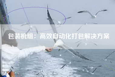包装机组：高效自动化打包解决方案