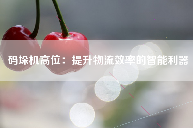 码垛机高位：提升物流效率的智能利器
