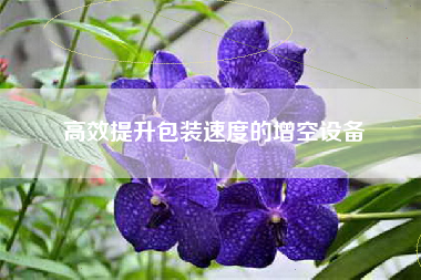 高效提升包装速度的增空设备