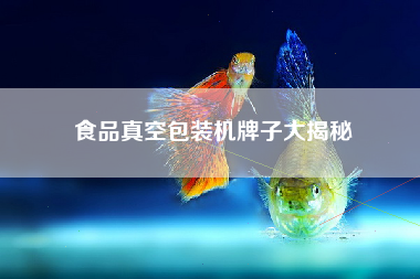食品真空包装机牌子大揭秘