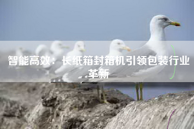 智能高效：长纸箱封箱机引领包装行业革新