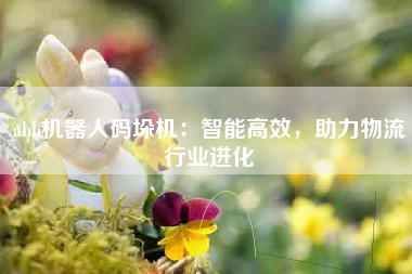abb机器人码垛机：智能高效，助力物流行业进化