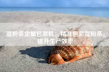 湿粉条定量包装机：精准包装湿粉条，提升生产效率