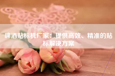 啤酒贴标机厂家：提供高效、精准的贴标解决方案