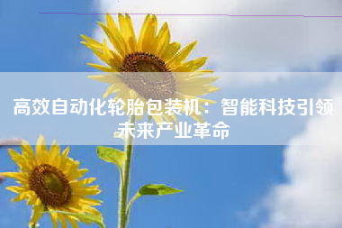 高效自动化轮胎包装机：智能科技引领未来产业革命