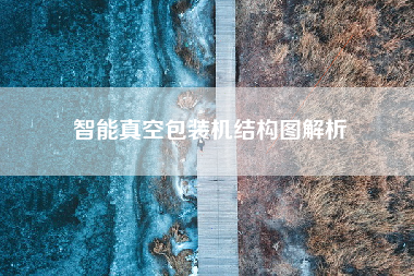 智能真空包装机结构图解析