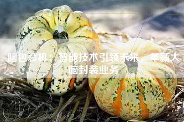 脑包装机：智能技术引领未来，革新大脑封装业务