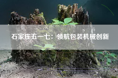 石家庄五一七：领航包装机械创新