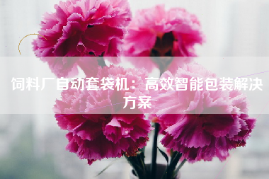 饲料厂自动套袋机：高效智能包装解决方案