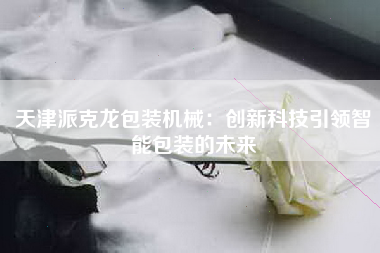 天津派克龙包装机械：创新科技引领智能包装的未来