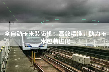 全自动玉米装袋机：高效精准，助力玉米包装进化