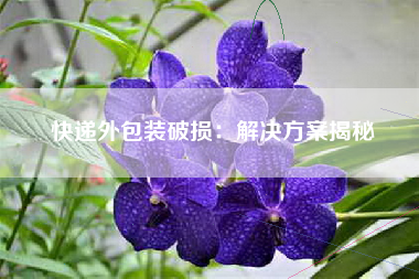 快递外包装破损：解决方案揭秘