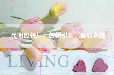 昆明包装厂：创新引领，品质卓越