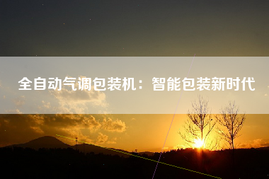 全自动气调包装机：智能包装新时代