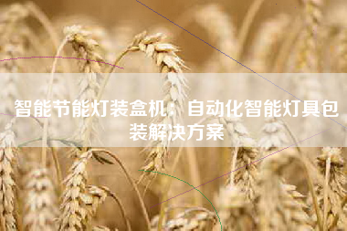 智能节能灯装盒机：自动化智能灯具包装解决方案