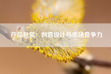 产品包装：创意设计与市场竞争力