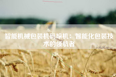 智能机械包装机码垛机：智能化包装技术的领航者