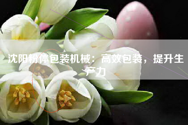 沈阳粉体包装机械：高效包装，提升生产力