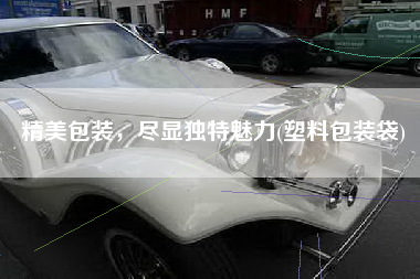 精美包装，尽显独特魅力(塑料包装袋)