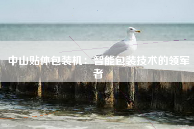 中山贴体包装机：智能包装技术的领军者