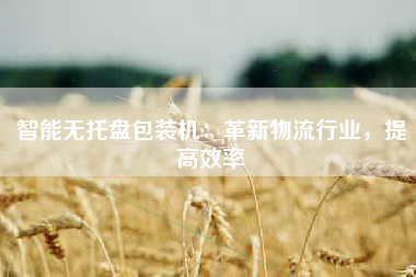 智能无托盘包装机：革新物流行业，提高效率