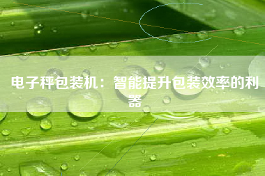 电子秤包装机：智能提升包装效率的利器