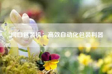 阀口包装机：高效自动化包装利器