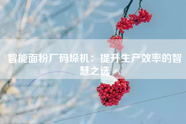 智能面粉厂码垛机：提升生产效率的智慧之选
