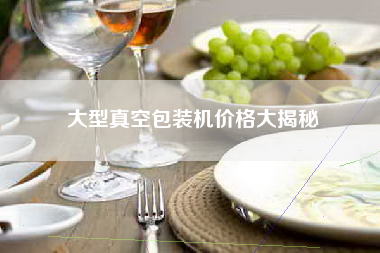 大型真空包装机价格大揭秘