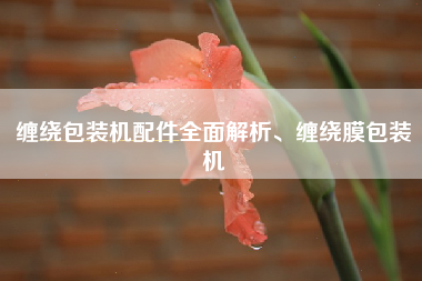 缠绕包装机配件全面解析、缠绕膜包装机