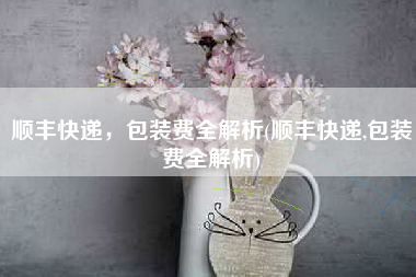 顺丰快递，包装费全解析(顺丰快递,包装费全解析)