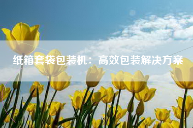纸箱套袋包装机：高效包装解决方案