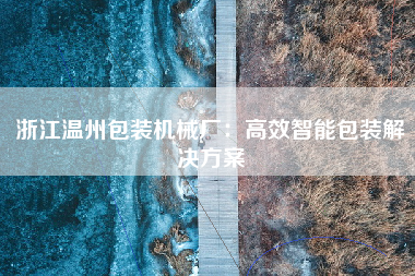浙江温州包装机械厂：高效智能包装解决方案