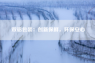 双铝包装：创新保鲜，环保安心