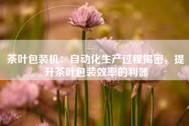 茶叶包装机：自动化生产过程揭密，提升茶叶包装效率的利器