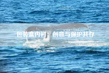 包装盒内衬：创意与保护共存